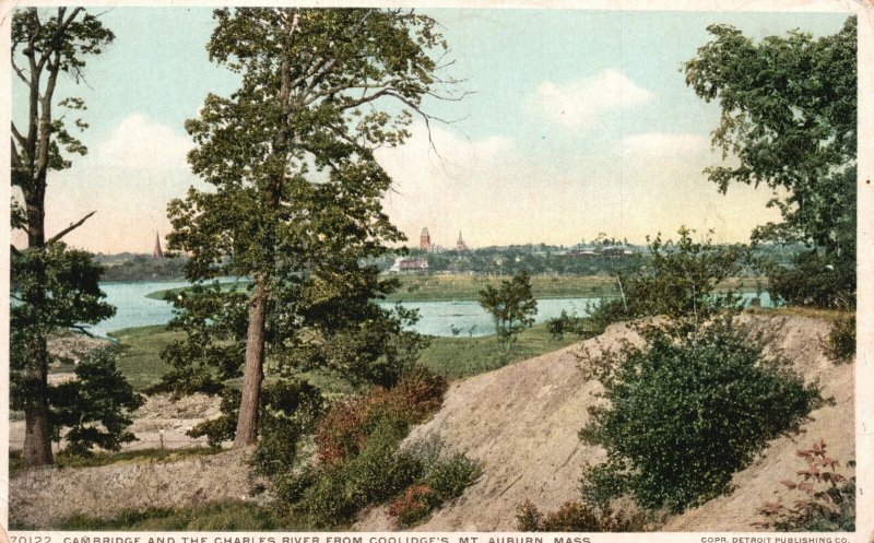 Vintage Postcard 1920's Campbridge & The Charles River Coolidges Mt. Auburn MA