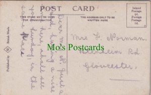 Genealogy Postcard - Norman, Blenheim Road, Gloucester, Gloucestershire GL916