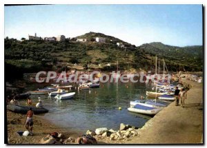 Postcard Modern Charm And Colors Of The Port Corsica Cargese