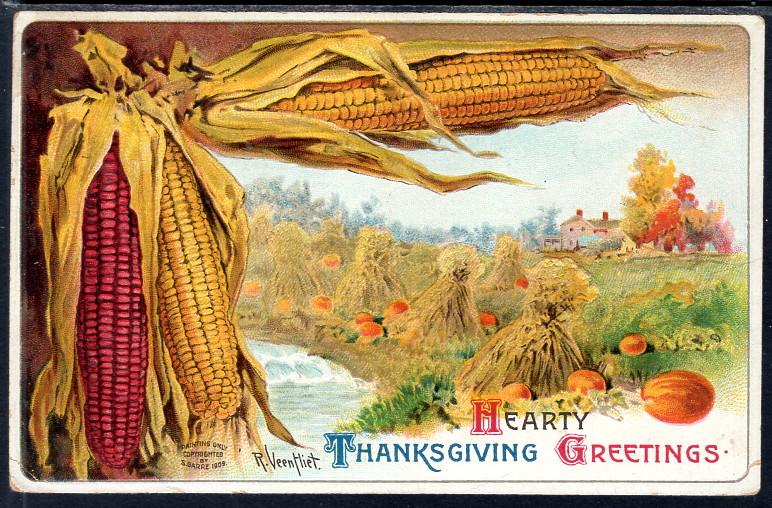 Hearty Thanksgiving Greetings,Corn,Field