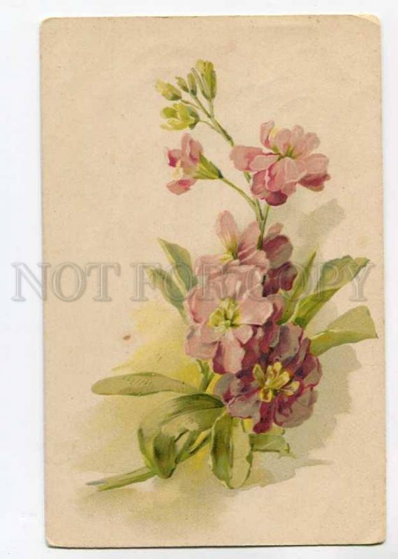 270082 Flowers BOUQUET by C. KLEIN Vintage Russian postcard