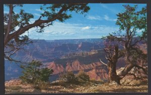 Arizona Grand Canyon National Park - along the South Rim ~ Chrome