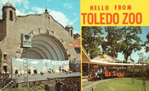 Vintage Postcard Hello From Toledo Zoo Animal Shows Band Concerts Toledo Ohio OH