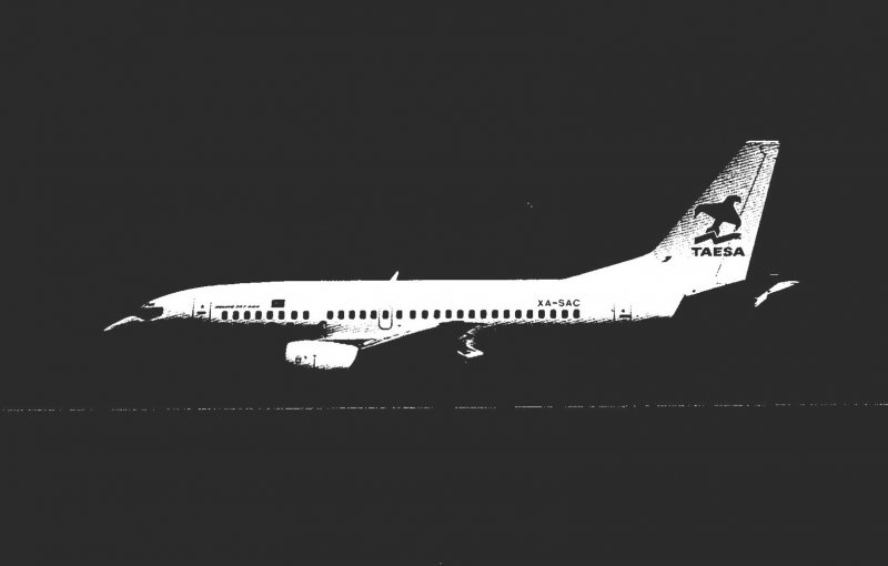 TAESA Boeing B-737-500