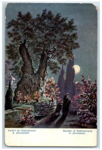 c1910 Moonlight at Garden of Gethsemane Jerusalem Palestine Antique Postcard