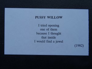 PUSSY WILLOW Paintings Poems by Japanese Disabled Artist Tomihiro Hoshino PC