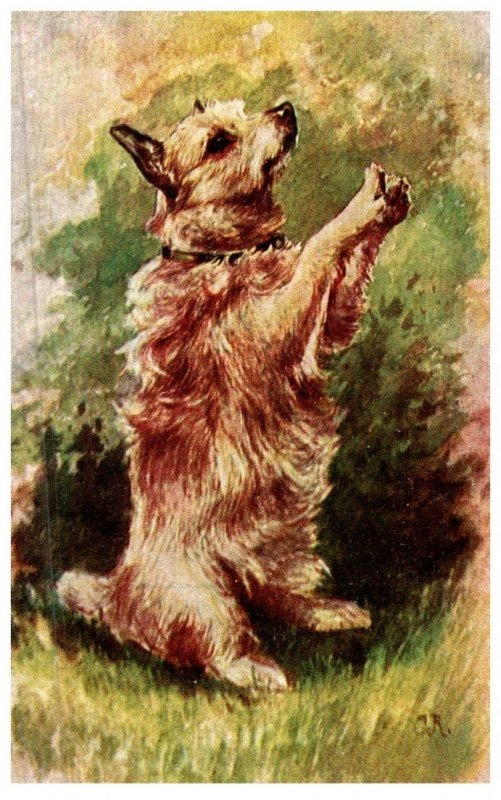 Dog ,  Standing  ,  artist signed