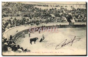 Old Postcard Bullfight Bullfight Arenes de Beziers Putting to death