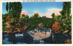 CPA AK Vine Arch Bridge Central Park NEW YORK CITY USA (790520)