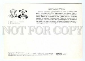 093644 Flying FROG w/ Umbrella Old Russian Card