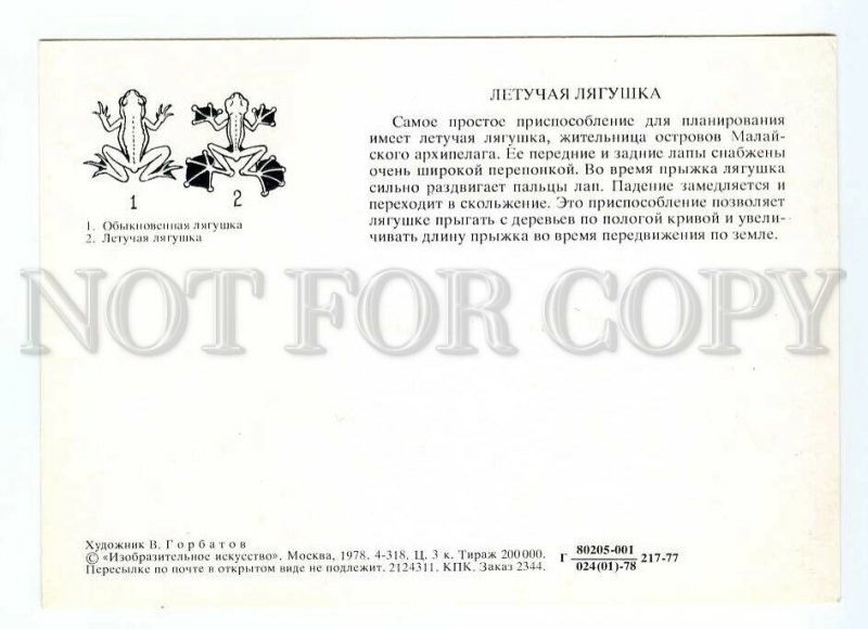 093644 Flying FROG w/ Umbrella Old Russian Card