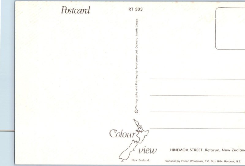 Hinemoa Street Rotorua New Zealand Postcard
