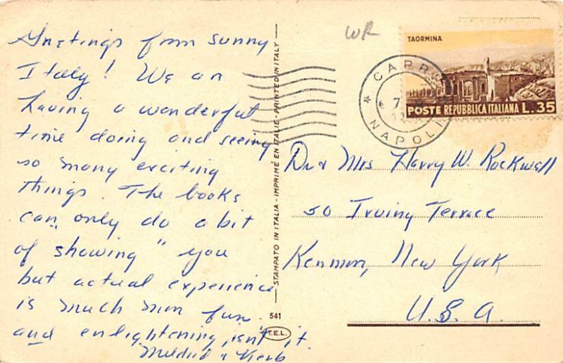 Lizard Insects Postal Used Unknown 