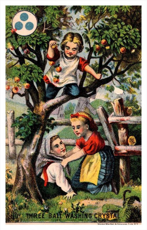 13477  Trade card  NY Three ball Washing Crystal, Children playing Apple tree