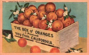 Vintage Postcard 1946 Greetings From California The Box Of Famous Oranges