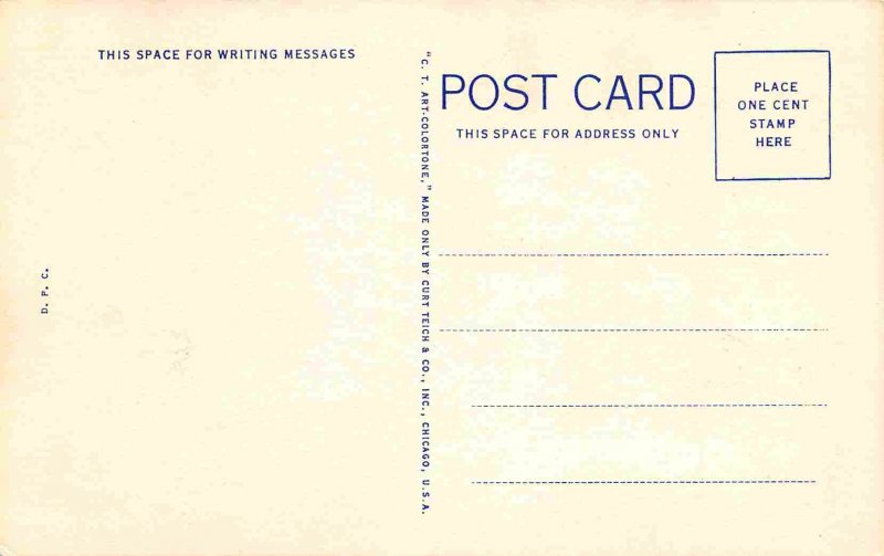 The Lone Star State That's Texas Poem postcard