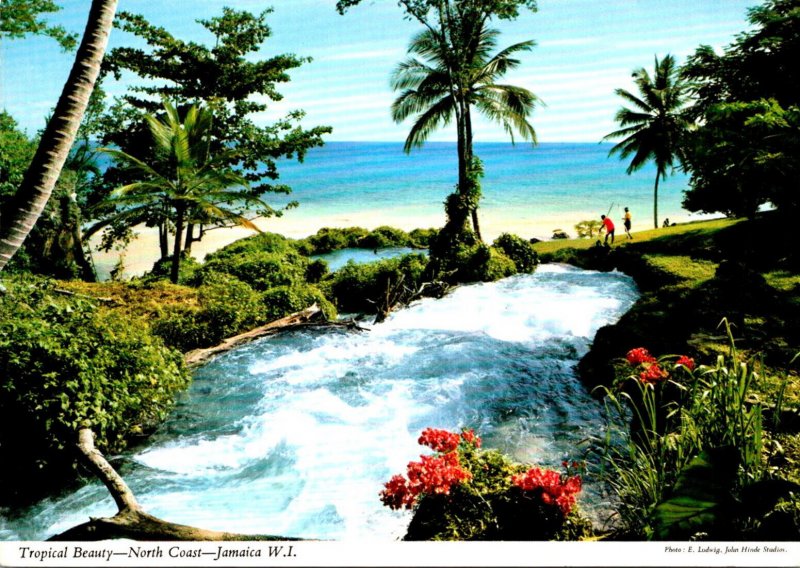 Jamaica North Coast Tropical Beauty