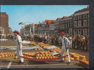 Netherlands Postcard - Alkmaar Kaasmarkt      T8741