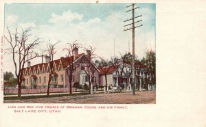 Vintage Postcard 1910's Lion & Bee Hive Houses Of Brigham Salt Lake City Utah