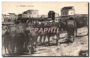 Old Postcard Tangier Morocco Camel Caravan Camel