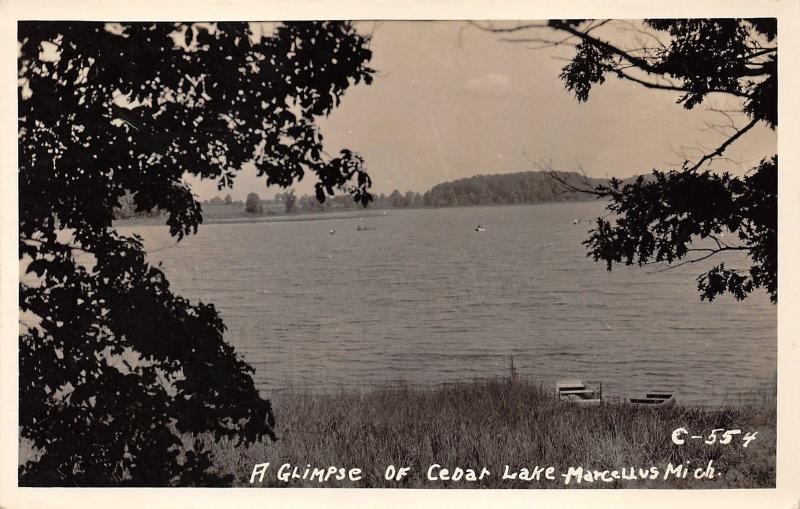 Marcellus Michigan~Cedar Lake from Between Trees~Boats on Shore~Vintage RPPC