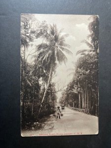 Mint Kuala Lumpur Malaysia Postcard RPPC Ampang Road FMS Forest Trail