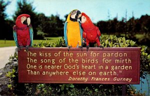 Florida Tampa Busch Gardens Sign With Parrots