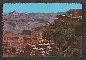 Mather Point Grand Canyon AZ Postcard BIN 