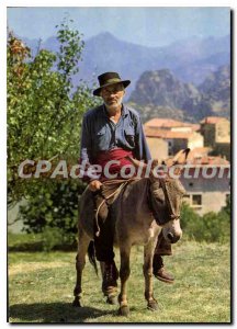 Modern Postcard Corsica Ile De Beaute Types