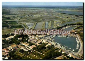 Postcard Modern Ile De Re Generale View From Port D'Ars En Re marshes