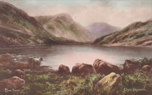 Wales Lyn Ogwen