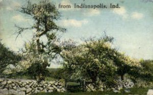 Greetings From - Indianapolis s, Indiana IN  