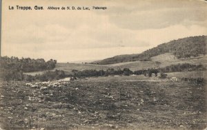 Canada La Trappe Quebec Abbaye de N.D. du Lac Paturage Vintage Postcard 07.87