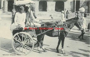 Indian, Jaipur, Ikka, Horse Drawn Cart, Gobindram Oodeyram