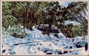 Australia White Canopy Australia Vintage Postcard C213