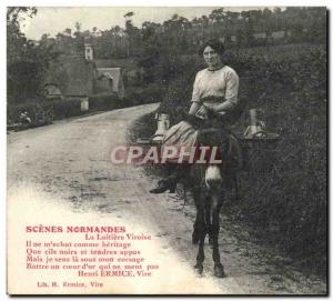 Old Postcard Donkey Mule Normandy dairy Viroise