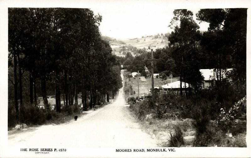 australia, VIC, MONBULK, Moores Road, Rose Series RPPC Postcard