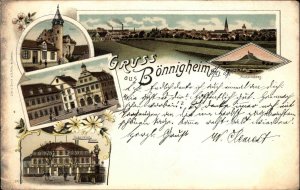 Gruss aus Bonnigheim Germany Multi View c1900 Postcard
