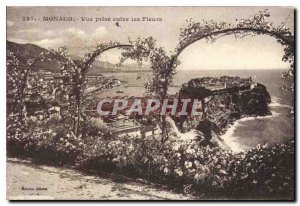 Old Postcard Monaco View between flowers taken