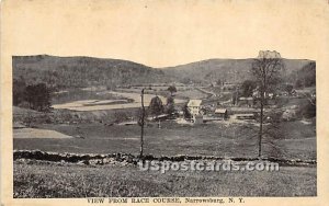 View from Race Course - Narrowsburg, New York NY Postcard