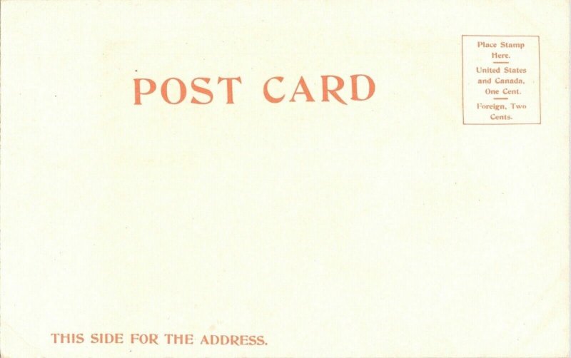 Capitol Albany New York Detroit publishing Undivided Back Antique Postcard Vtg 