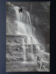 Australia NSW KATOOMBA FALLS & SITTING DOG c1921 RP Postcard