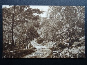 Scotland THE TROSSACHS Where Twines the Path c1920's Postcard by Valentine