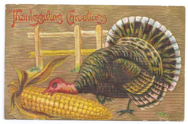 Vintage Thanksgiving Postcard Turkey Eating Corn Embossed Gold Moire ...