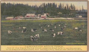 Carnation Milk Dairy Cow Stock Farm PPIE Expo advertising 1915c postcard