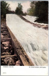 Postcard Northern Ontario c1910s Timber Chute Scenic View by Warwick