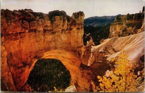 Natural Bridge Bryce Canyon National Park Utah UT Postcard UNP VTG Mike Roberts 