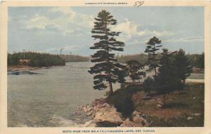 Moon River from Bala Falls Muskoka Lakes Canada