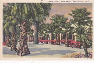 Texas Corpus Christi Palm Grove North Beach 1948 Curteich