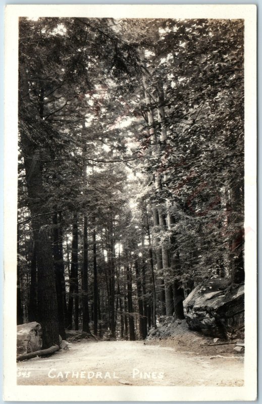 c1950s Cornwall, CT Cathedral Pine White Hemlock Tree Preserve 1989 Tornado A207